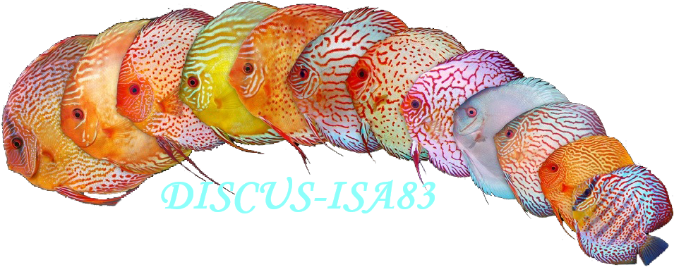 DISCUS.ISA83